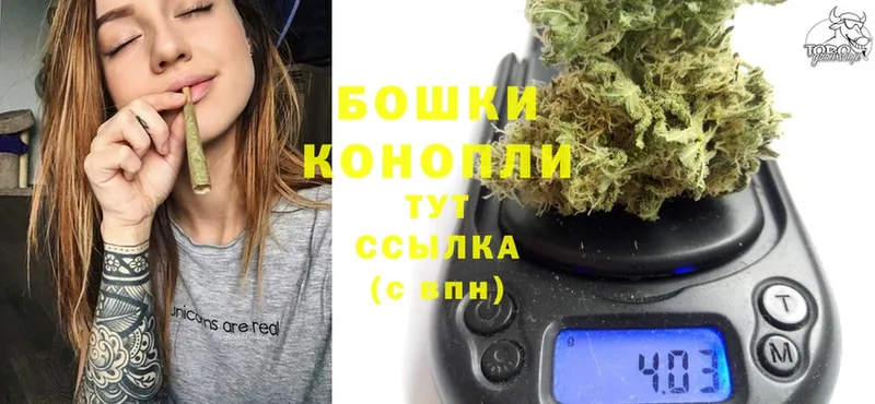 продажа наркотиков  Асино  Канабис LSD WEED 